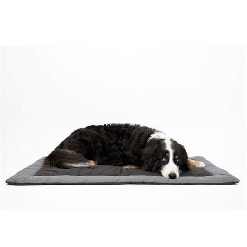 CAMP4 Abby Hundetæppe