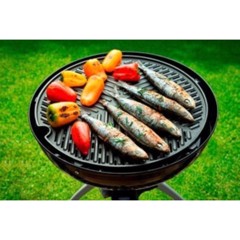 CADAC Grillo Chef 2 Gasgrill